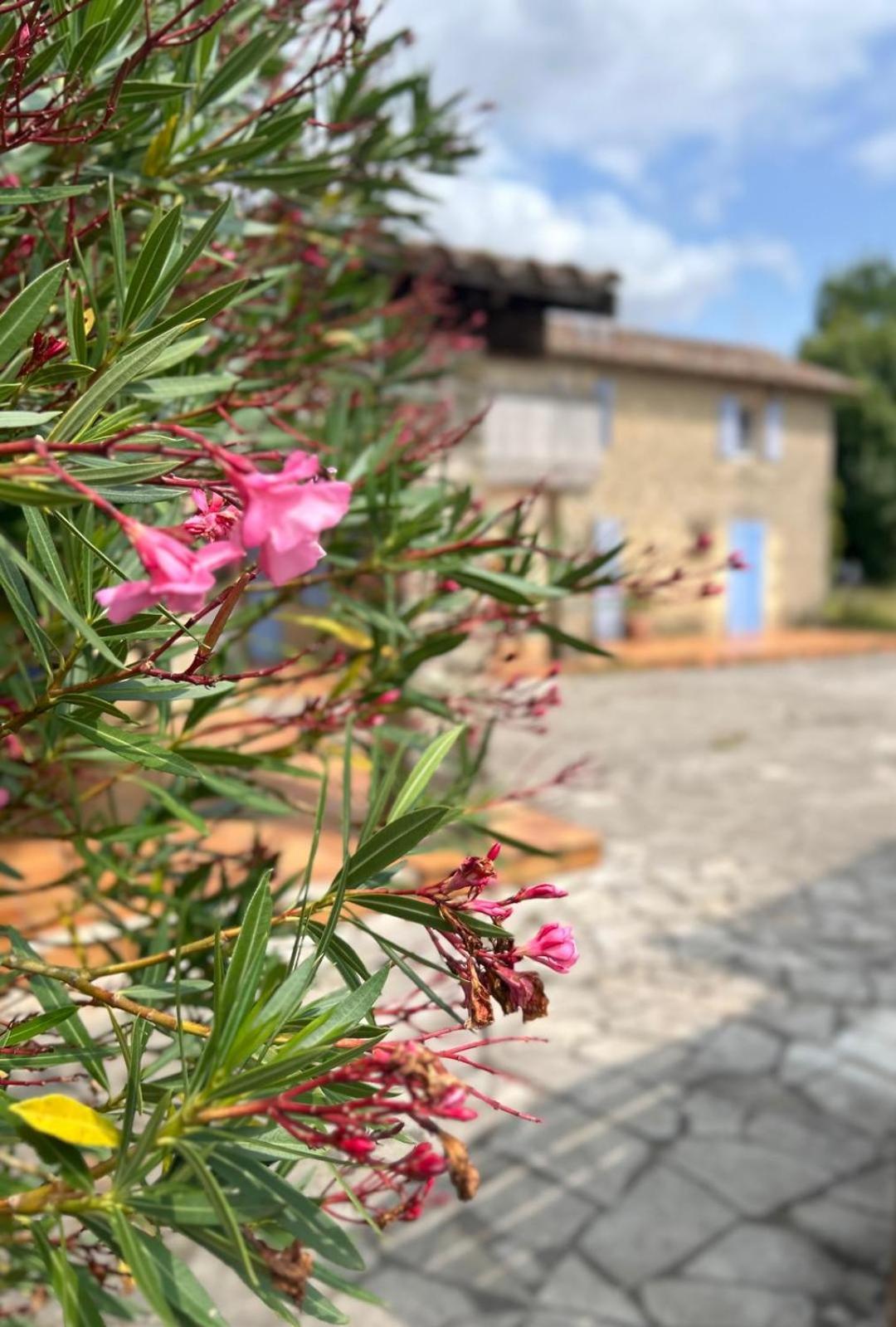 Domaine De Fontsauzine - Gites Et Chambre D'Hotes Genouille  Exterior foto