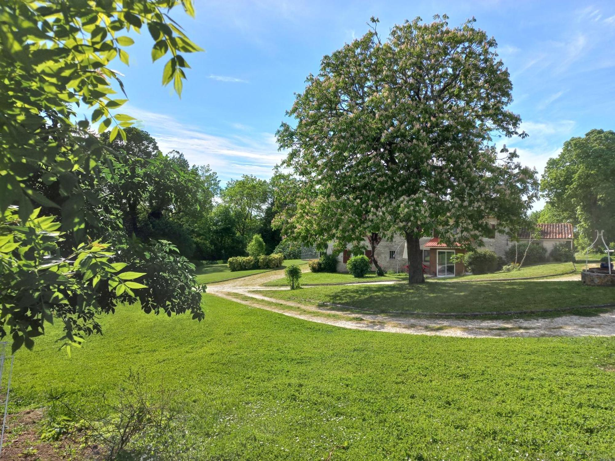 Domaine De Fontsauzine - Gites Et Chambre D'Hotes Genouille  Exterior foto